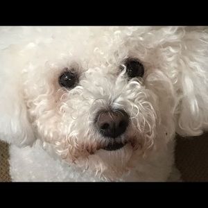 Meet your Posher, Maryjean